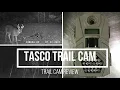 8 mp Tasco Trail Cam Review 23 99 Online 28 99 Walmart