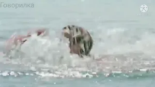 Ералаш Акула но все говорят Акула 