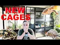 Building My Animals Dream Homes Luxurious Custom Cages