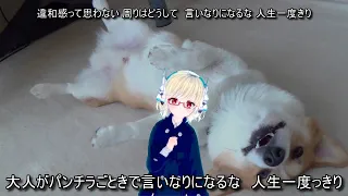 ドーナドーナ いっしょによわいことしよう 