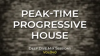 Peak Time Progressive House DJ Mix EANP Mike Rish K Loveski Michael A Fran Garay DDMS 040 