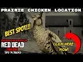 Greater Prairie Chicken Location Best Spot deadPik4chU s Red Dead Online