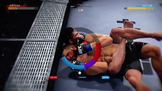 Different Submissions and transitions in UFC game