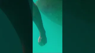 Beware of the undewater growth. it hurts #sailinglifestyle #windedvoyage #solosailing #caboverde