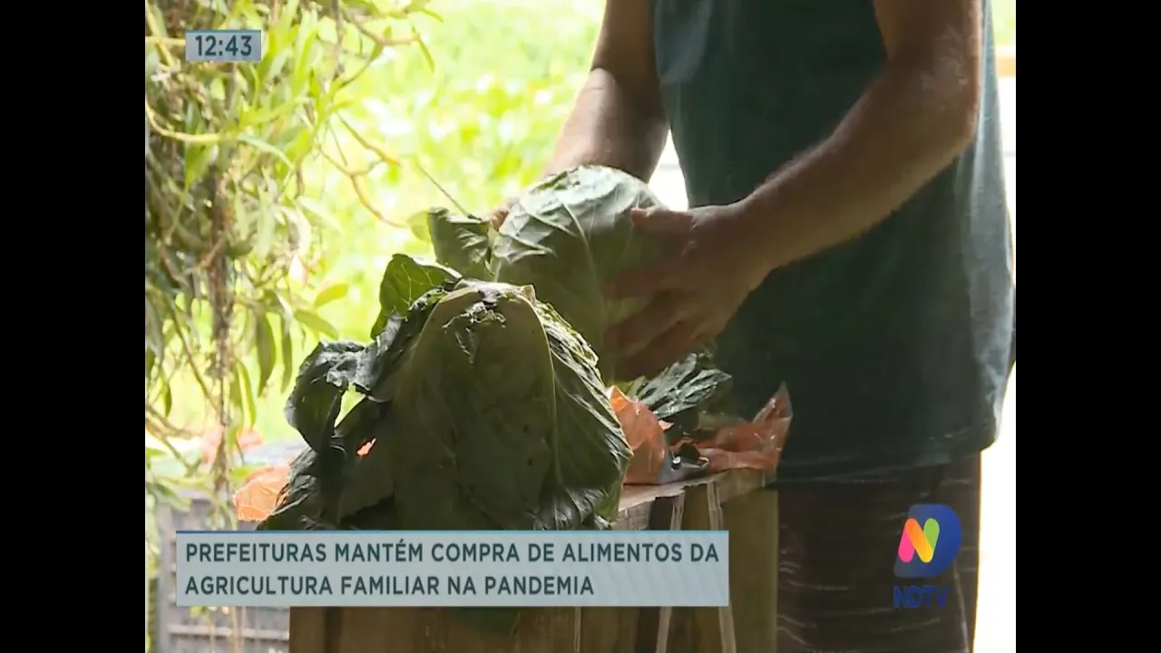 Prefeituras mantém compra de alimentos da agricultura familiar na pandemia