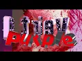 RETRIEVER - Purple