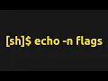 Building a Shell In C - Flags