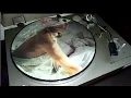 Download Lagu Valerie Dore - The Night 1984 (Italo Disco) Picture Disc Limited Edition