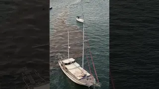 #Shorts Yacht Destroys anchorage with Poo