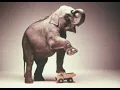 Tonka Toys Elephant Test 1975