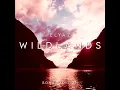 Wildlands (Festival Anthem)
