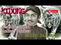 Download Lagu KIDUNG SEDULUR PAPAT _Sunan Kali Jaga || Kakang kawah Adi Ari-Ari _ini lah mantra nya