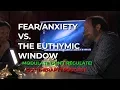 Euthymic Window