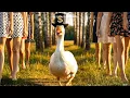 Download Lagu Опа-опа, ты смотри Европа! | Techno-90s Style | Поёт: Jeanne Sava \u0026 Klava Zimina | Муз: DJ Semyonich