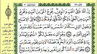 الصفحة 140 سورة الأنعام من الآية 95 إلى 101 