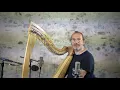 Autre Chose pour Harpe à Leviers / An Durzhunel /  Harpe et arrangement François Pernel