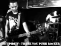 Download Lagu STUPIDITY - THANK YOU PUNK ROCKER