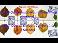 Lagu Top 5 Quotes on Default Convert into Success | High Quotes Default Convert into Success costly ideas