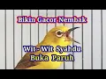 Download Lagu B1K1N PL3C1 N3MB4K W1T-W1T 3N4K + $Y4HDU, Terapi Pleci Nembak