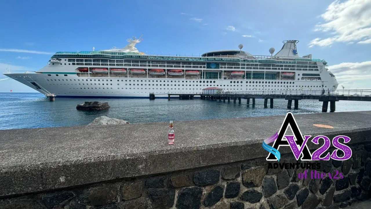 VISION Of The SEAS Cruise | LAST Day | DISEMBARKATION | I Won WHAT?! | Pt 12