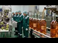 Lagu What REALLY Happens Inside a Wine Factory? (Secrets They Don't Show) - Process Factory