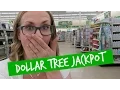 HUGE DOLLAR TREE Shop with Me Organization Jackpot