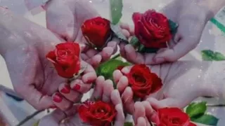 لبسوكى تاج وطرحة دندنها