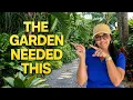 I Added 5 NEW Things to My Tropical Garden Everything is CHANGING