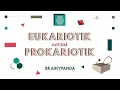 Download Lagu Sel Eukariotik dan Prokariotik | Biologi Sel | Brainy Panda