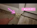 HONEST Review of BugMD Vamoose Plus Rodent Repellent