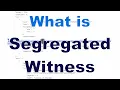What is Segregated Witness SegWit