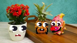 Fruit Love Triangle Drama! 📐💔 Doodland 1-Hour Special