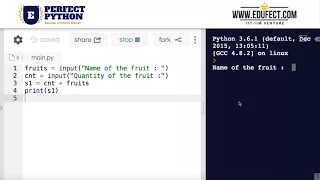 Perfect Python Taking an input String concatenation