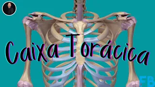 "Anatomia da caixa torácica - Anatomia orientada para a clínica"