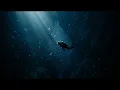 En Dipten — SONATA • Music (Official Audio)
