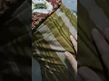 Download Lagu IBU SABAR MENJALANI SAKIT. HANYA 3 JAM DI KLINIK BAY LAHIR. DARI PEMBUKAAN  3 CM