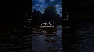 الذين آمنوا وتطمئن قلوبهم بذكر الله ألا بذكر الله تطمئن القلوب الآية 28 من سورة الرعد 