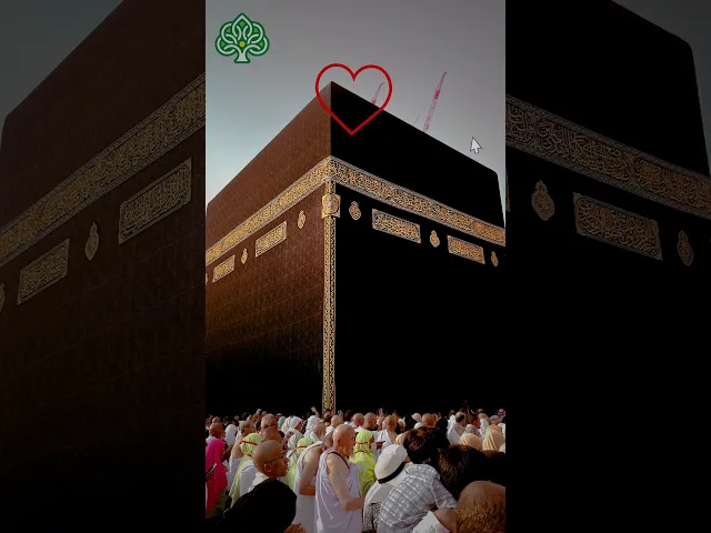 ⁣#religion #Allah #hajj #hajj2023 #kaaba #mecca #khanakaba #viral