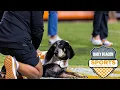 The Hustler s Andrew Wilf s Tennessee football s matchup with Vanderbilt