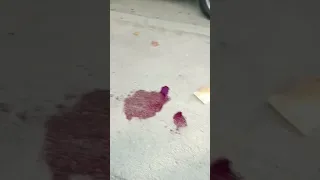 جريمة قتل في المغرب مدينة تيطوان 