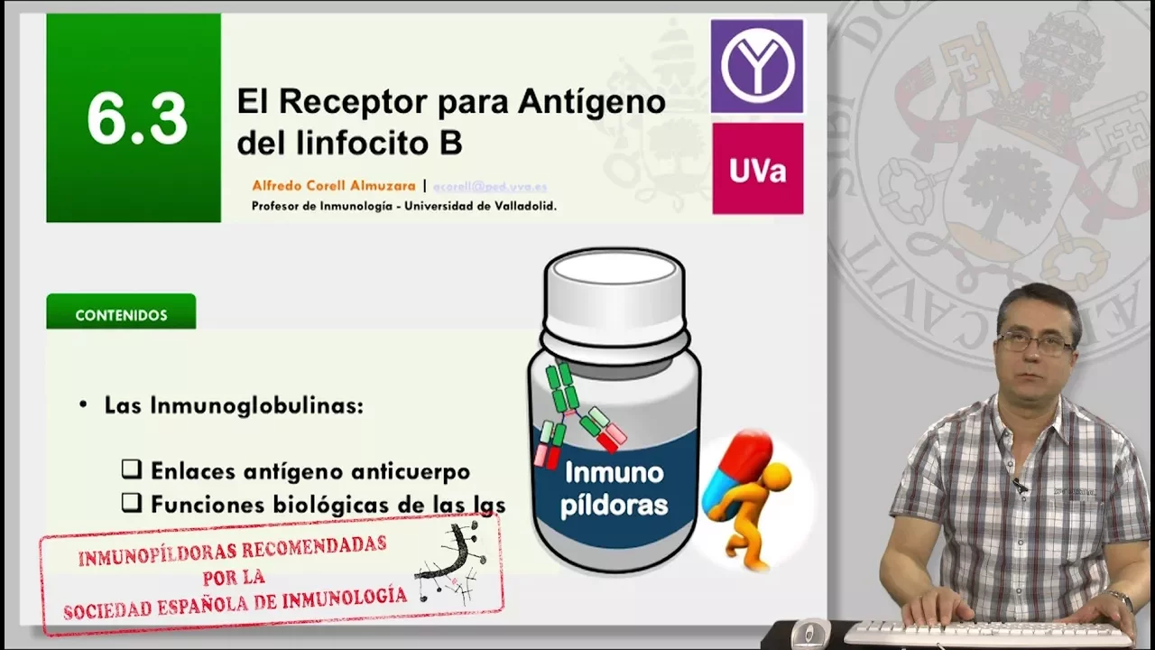 6.3 EL RECEPTOR PARA ANTÍGENO DEL LINFOCITO B