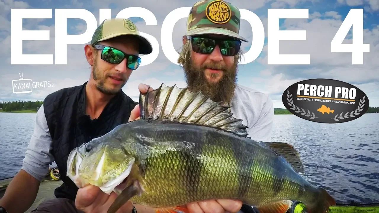 video Perch pro 5 - 2018