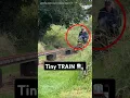 Tiny Train Huge Power