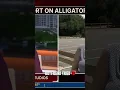 Deadly Alligator Attack Boyfriend s Heroic Fight