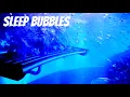 Download Lagu 😴 Hot tub sounds to fall asleep, underwater jacuzzi sounds, 8 hours