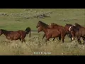 Download Lagu John Denver   Take Me Home,  Country Roads   HD with Lyrics