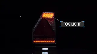 Video: Rechts | LED achterlicht | canbusProof | driehoek model | 12v | 5-functie 5-PIN | VC-3302B5CAN