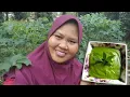 cara masak seri kaya pandan by kak nur @ tip guna blender saja