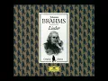 Brahms: Gestillte Sehnsucht, Op. 91, No. 1