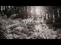 Huaira - Semilla Solar